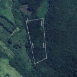 Terreno com eucaliptos à venda em Mampituba - RS