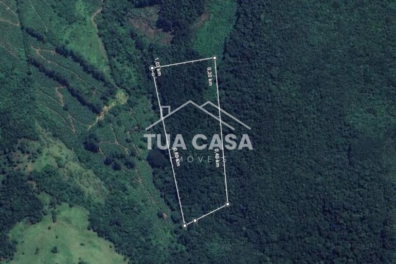 Terreno com eucaliptos à venda em Mampituba - RS