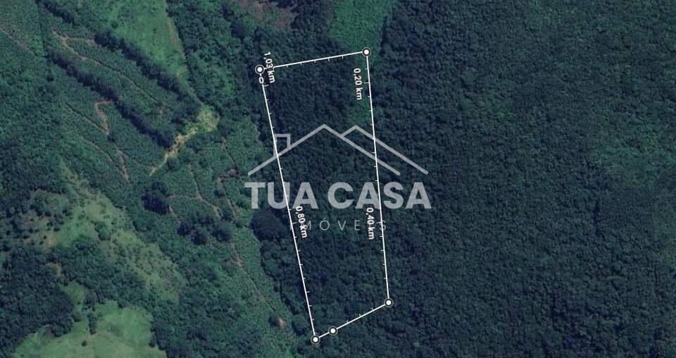 Terreno com eucaliptos à venda em Mampituba - RS