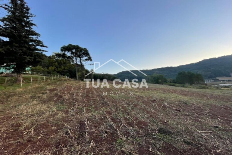 Área de terra à venda na Linha Araripe em Nova Petrópolis com 2 hectares