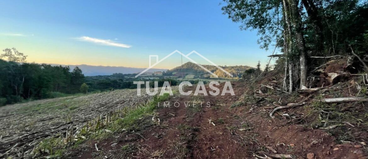 Área rural à venda na Linha Araripe em Nova Petrópolis