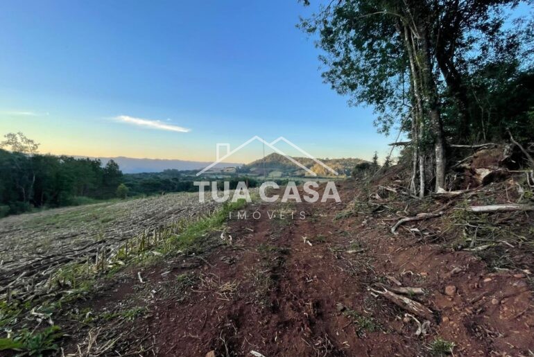 Área rural à venda na Linha Araripe em Nova Petrópolis