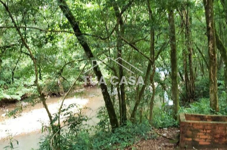 Sítio à venda em Gramado com 4 hectares