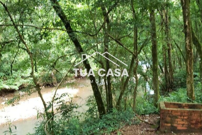 Sítio à venda em Gramado com 4 hectares
